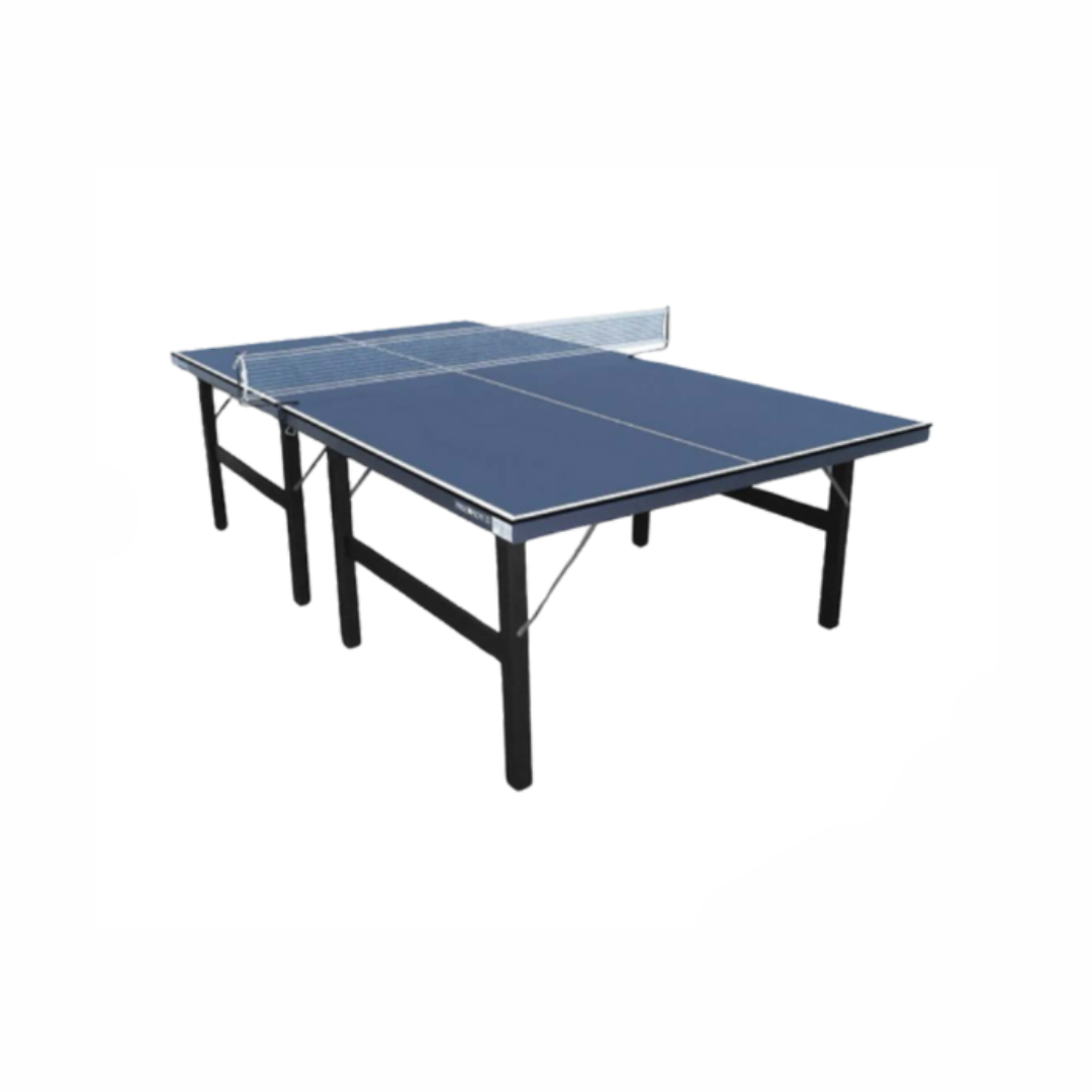 Mesa Ping Pong